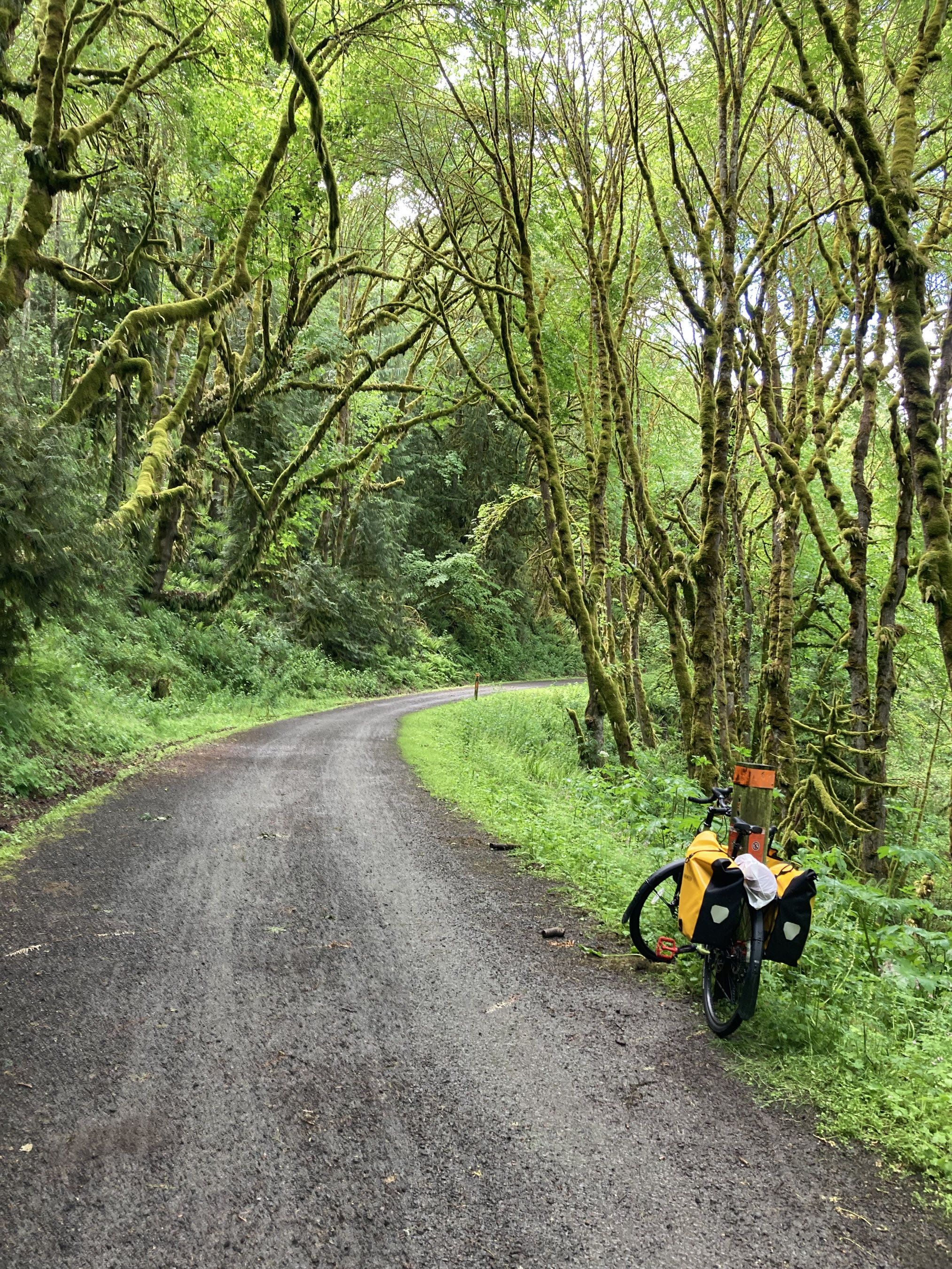 Snoqualmie Valley Trail.