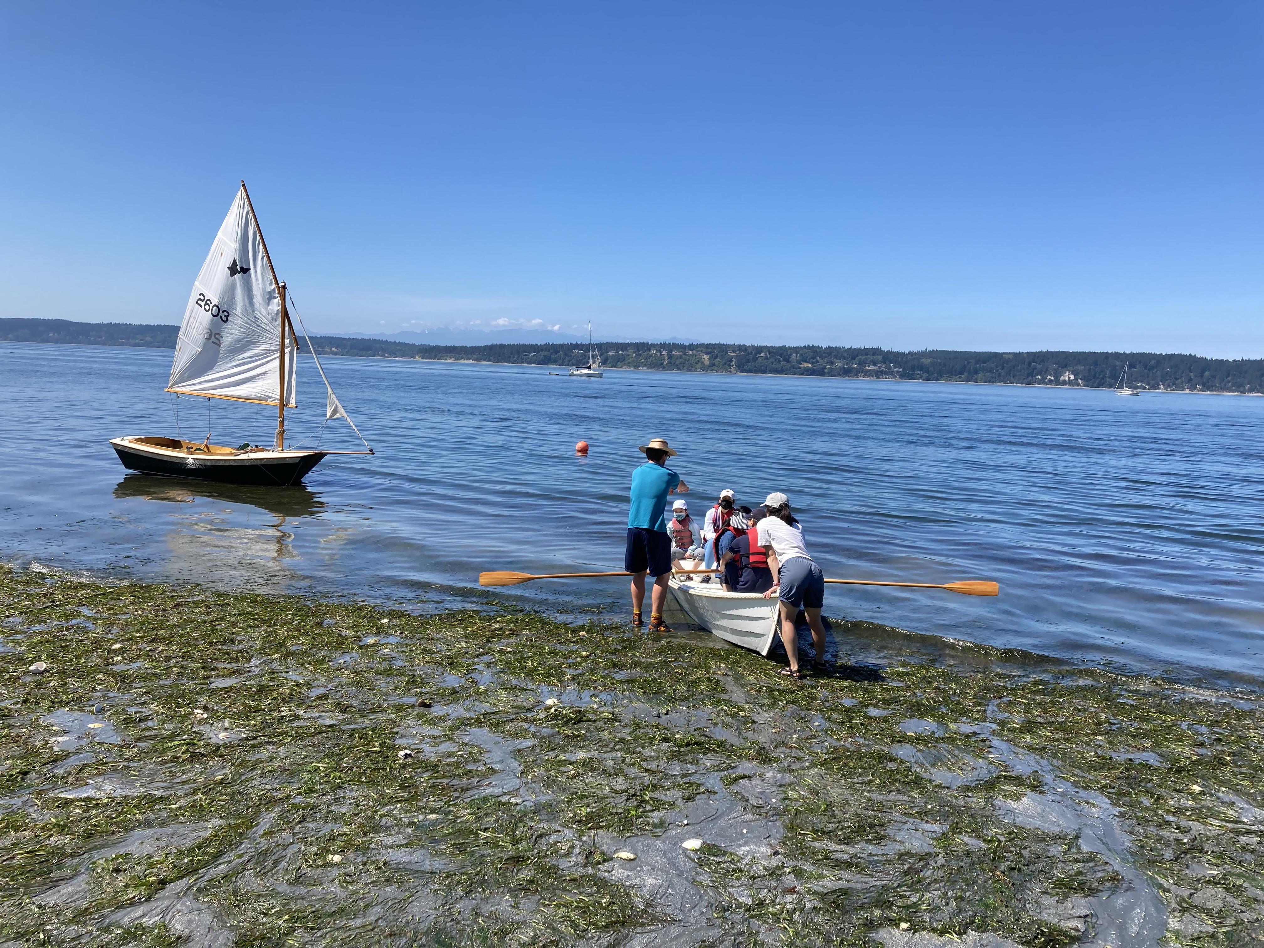 Saratoga Passage shoreline.